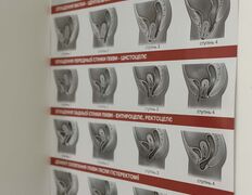null Uclinic (Університетська клініка), Uclinic - фото 7