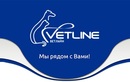 Ветеринарная клиника «Vetline (Ветлайн)» - фото