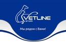 Ветеринарная клиника «Vetline (Ветлайн)» - фото