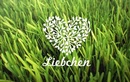Студия здоровья и красоты Liebchen (Либхен) – цены - фото