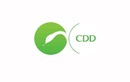 Детская стоматология — Медицинский центр CDD (СиДиДи) – цены - фото