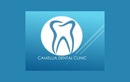 Протезирование зубов (ортопедия) — Стоматологическая клиника «Camellia Dental Clinic (Камелия Дентал Клиник, Камелія Дентал Клінік)» – цены - фото