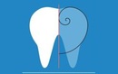 Диагностика в стоматологии — Стоматология «Prozheiko Dental Studio (Прожейко Дентал Студио)» – цены - фото