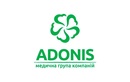 Adonis (Адонiс) - фото