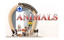 Ветеринарная клиника «Animals (Энималс)» - фото