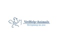 Анестезия — VetHelp Animals (ВетХелп Энималс, ВетХелп Енімалс) ветеринар на дом – прайс-лист - фото