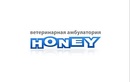Honey (Хани) - фото
