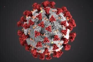 В Украине зафиксировали «южноафриканский» штамм коронавируса