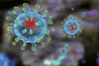Мутация коронавируса увеличивает шансы повторного заболевания COVID-19? Мнение ученых