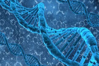У скольких людей есть «ген предрасположенности к тяжелой форме COVID-19», посчитали ученые