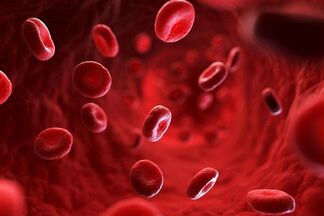 Ученые подтвердили, что переливание молодой крови замедляет старение, и поняли причину