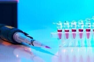 Эстрадиол в крови у женщин: норма по возрасту